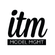 ITM Logo